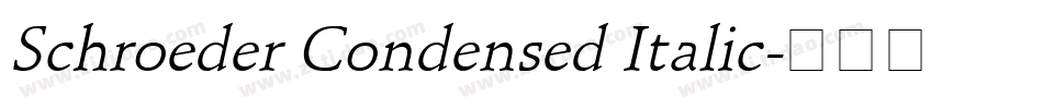 Schroeder Condensed Italic字体转换